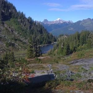 Meet your Posher, Rene